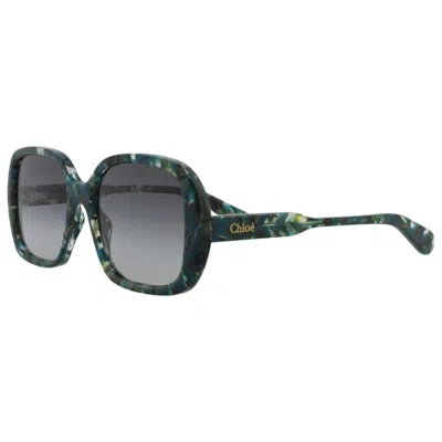 Chloé Women's Sunglasses In Brown