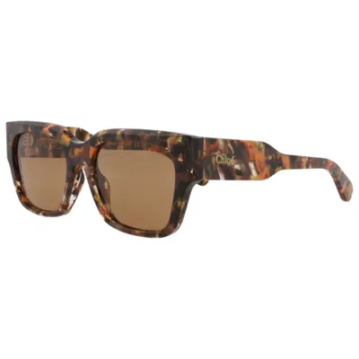 Chloé Women's Sunglasses In Brown