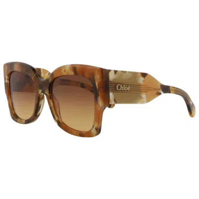 Chloé Women's Sunglasses In Brown