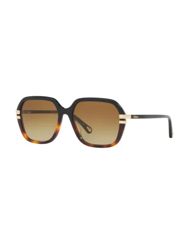 Chloé Women's Sunglasses, Ch0204s In Black