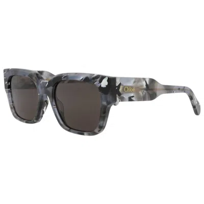 Chloé Women's Sunglasses In Multi