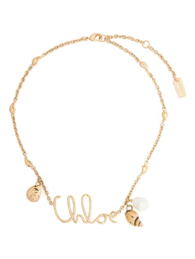 Chloé Shells Chain Necklace In Gold