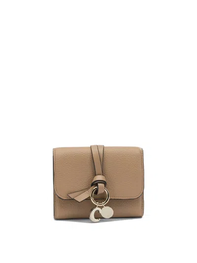 Chloé Beige Leather Card Holder In Neutral