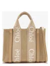 Chloé Small Woody Crossbody Bag In Brown