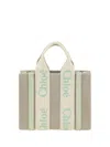 Chloé Mini Woody Tote Bag In Multicolor