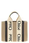 Chloé Small Woody Canvas Top Handle Bag In Multi