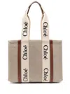 Chloé Woody Medium Bag In Beige Canvas In White
