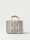 Chloé Woody Bag In 鸽子灰色