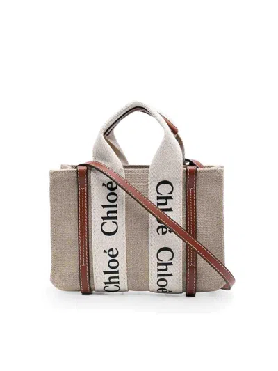 Chloé Chloè Woody Canvas And Leather Nano Bag In Multi