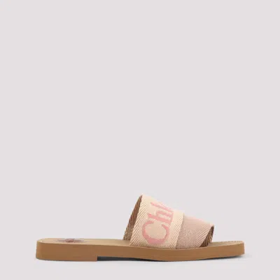 Chloé Woody Flat Mule In Multi