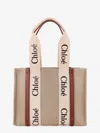 Chloé Woody Linen Shoulder Bag With Logo Lettering On The Front In Sand