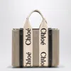 Chloé Woody Little Bag In Beige Canvas Women