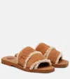 Chloé Chloe' Women Woody Sandals In Brown