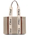 Chloé Woody Medium Bag In Beige Canvas