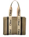 Chloé Woody Medium Canvas & Leather Tote In Blue