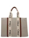Chloé Woody Medium Tote Bag Multicolor