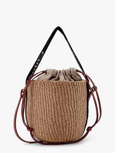Chloé Woody Raffia Bucket Bag In Multi