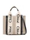 Chloé Woody Small Canvas Tote