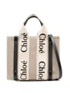 Chloé Woody Small Canvas Tote In Blue