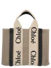 Chloé 'woody Small' Handbag
