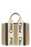 Chloé Small Woody Canvas Top Handle Bag In Multi