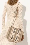 Chloé Woody Bag In Beige