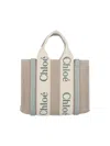 Chloé Structured Green Handbag With Versatile Design In Neutral