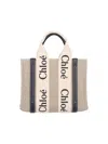 Chloé Chloe Multicolor Fabric Small Woody Shopping Bag
