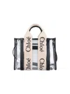 Chloé Handbag With 2 Handles And Removable Strap In Transparent