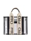 Chloé Bag Woody