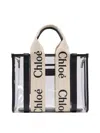 Chloé Bag Woody