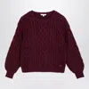Chloé Wool And Cotton Burgundy Jumper In Burgundy