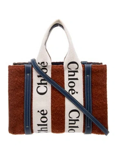 Pre-owned Chloé Wool Woody Small In Multi