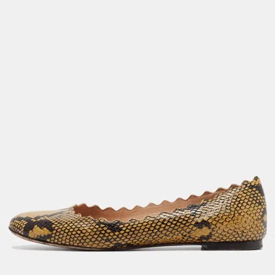 Pre-owned Chloé Yellow/black Scalloped Embossed Python Lauren Ballet Flats Size 37.5