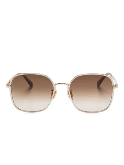 Chloé Zelie Sunglasses In Brown