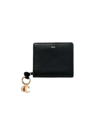 Chloé Zipper Wallet In Black