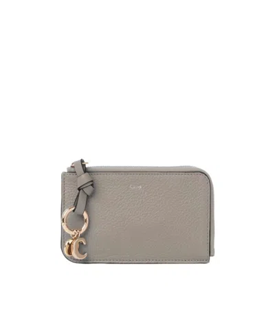 Chloé Zipper Wallet In Gray