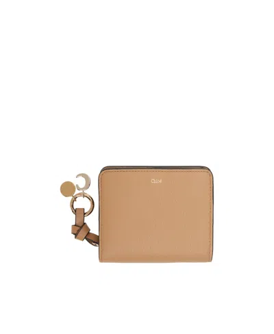 Chloé Zipper Wallet In Nude