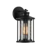 Chloelighting Crichton Transitional 1 Light Textured Black Outdoor Wall Sconce 11" Tall