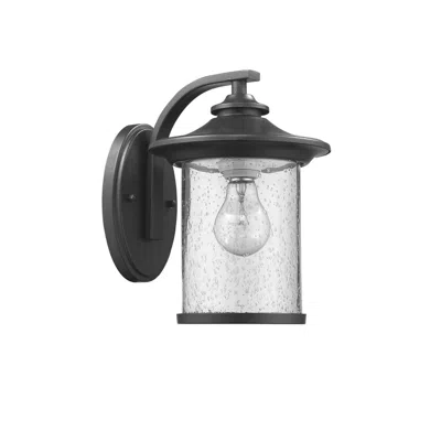 Chloelighting Liam Transitional 1 Light Black Outdoor Wall Sconce 11" Height
