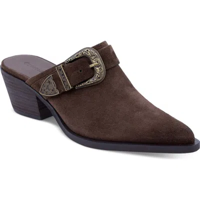 Chocolat Blu Charm Pointed Toe Buckle Mule In Chocolate Suede