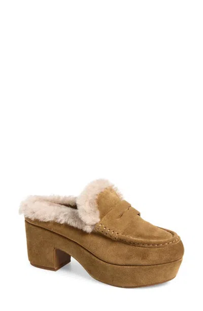 Chocolat Blu Genna Genuine Shearling Clog In Camel Suede