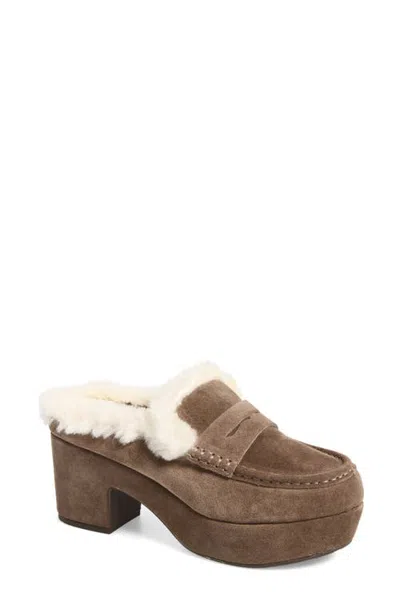 Chocolat Blu Genna Genuine Shearling Clog In Dark Taupe Suede