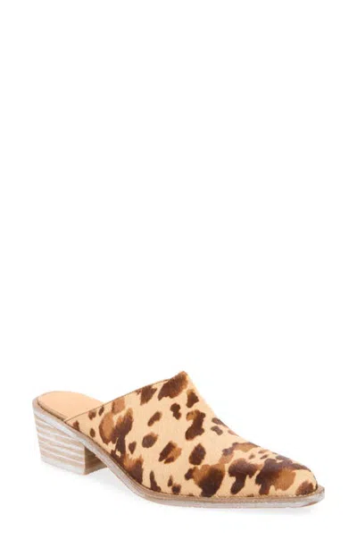 Chocolat Blu Kel Mule In Cream Brown Calf Hair