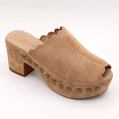 Chocolat Blu Women's Genessis Platform Clog In Taupe In Brown