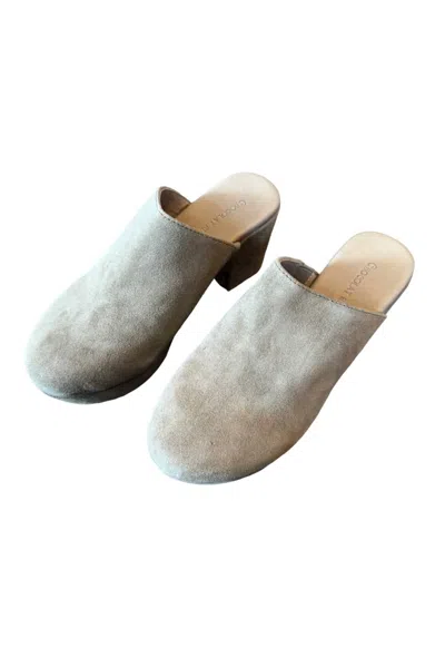 Chocolat Blu Women's Ginette Suede Upper Clog In Taupe In Gray