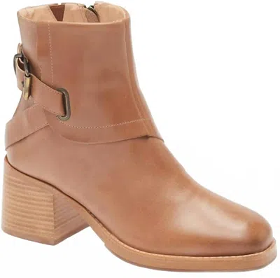 CHOCOLAT BLU WOMEN'S INKA BOOTIES IN BROWN