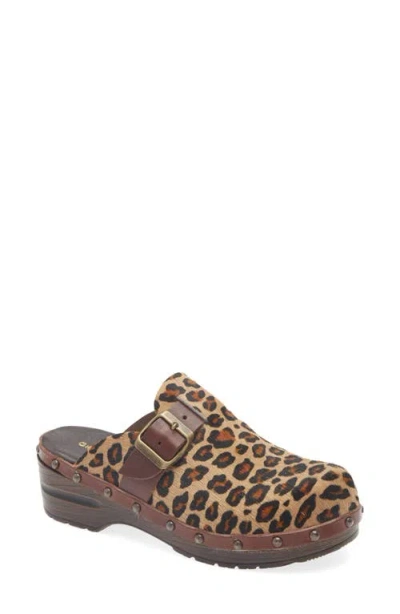 Chocolat Blu Yuna Genuine Calf Hair Clog In Animal Print