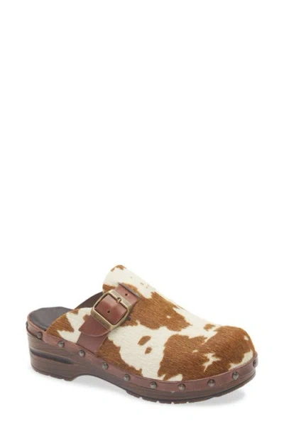 Chocolat Blu Yuna Genuine Calf Hair Clog In Brown