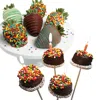 Chocolate Covered Company Celebration Belgian Chocolate Covered Strawberries And Brownie Pops